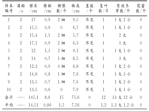 牡丹江地区芍药种子繁育及幼苗管理技术