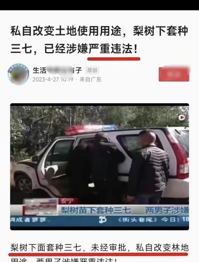 某地农民在梨树下种植三七被认为涉嫌严重违法，法律上应如何评判