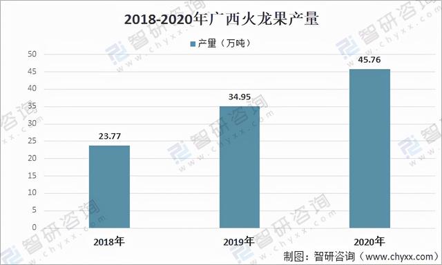 2021年广西火龙果种植生产情况分析：南宁市产量占比超60%「图」