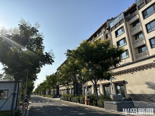 灵山攻守记丨包200亩丹参能赚四五十万，做“道地药材”不图一时之快