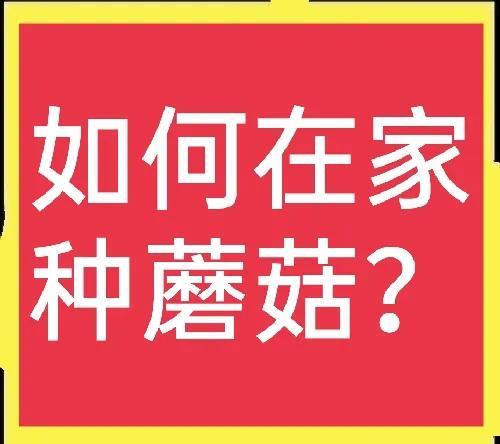 在家就能种蘑菇，既好玩又有高收获，赶快来学