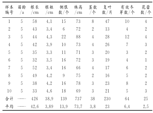 牡丹江地区芍药种子繁育及幼苗管理技术