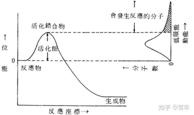 重金属铅对辣木形态生理和抗氧化反应有何影响？