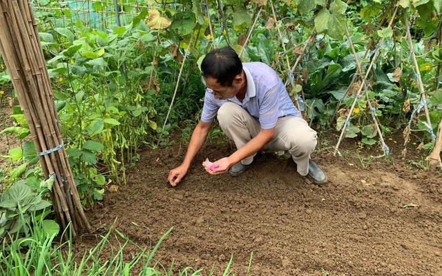 京郊租地种菜蔚然成风 专家称后续市场空间存疑