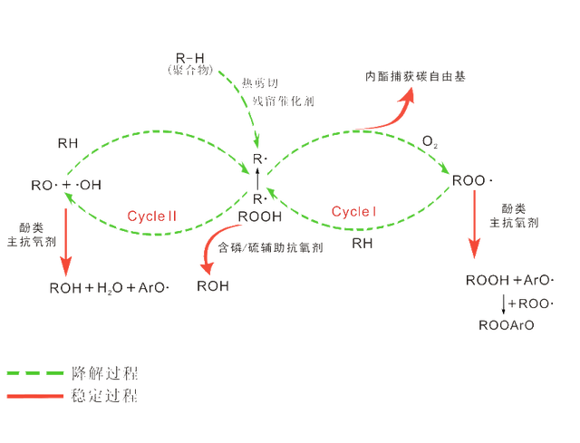 重金属铅对辣木形态生理和抗氧化反应有何影响？