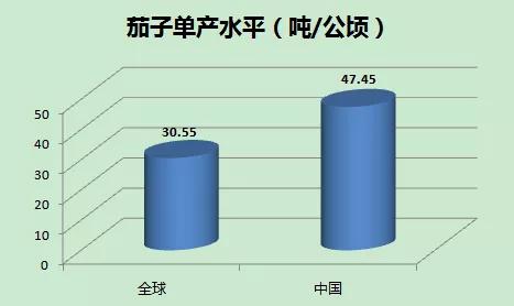 全球最大！中国茄子产业发展详解，25个专家推介品种都在这