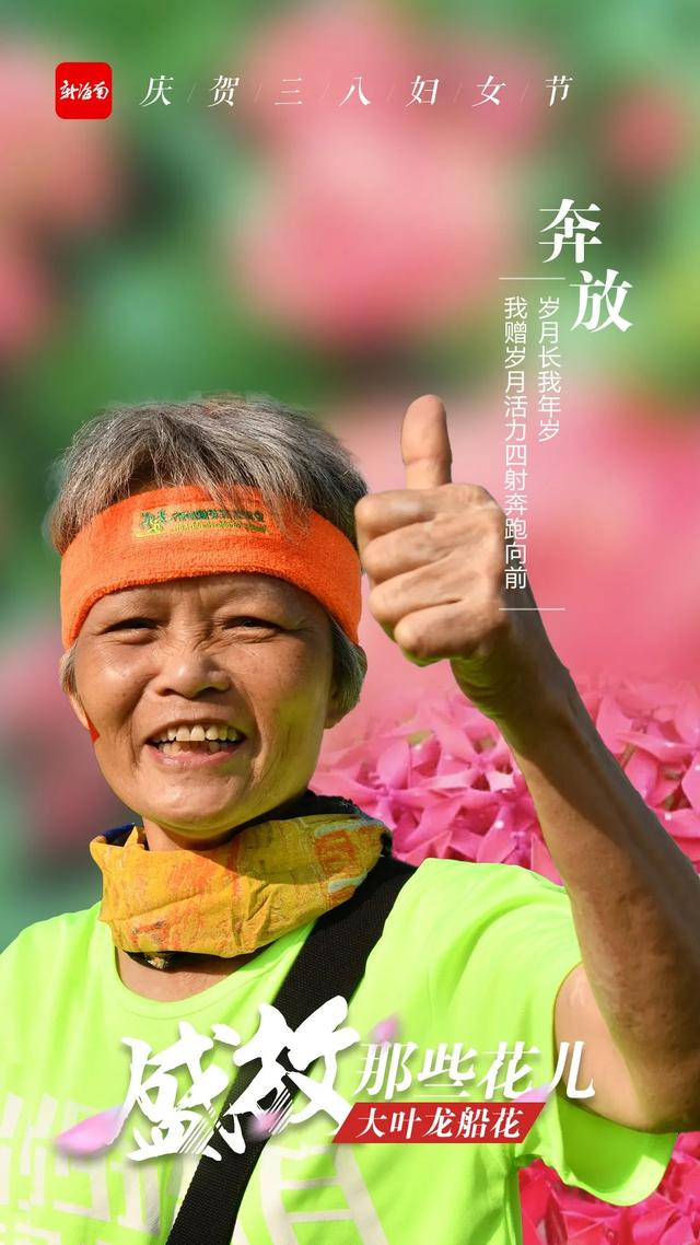 又美又飒！这些“海南花儿”正盛放