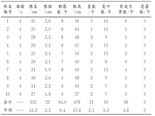 牡丹江地区芍药种子繁育及幼苗管理技术