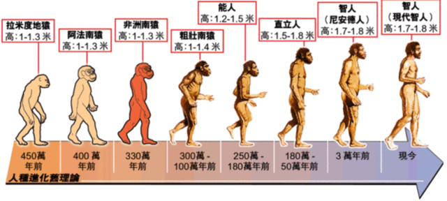 男性进化出胡须，是用来干什么的？达尔文至死也没搞明白这个问题