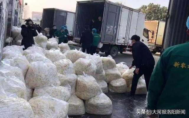 暖心！保障平价蔬菜供给，洛阳一企业免费捐赠150吨豆芽