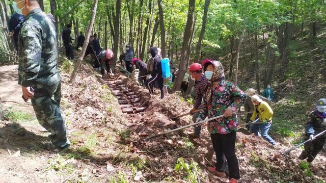 磐石市牛心镇：小榛蘑撑开致富伞，林下种植走出致富路