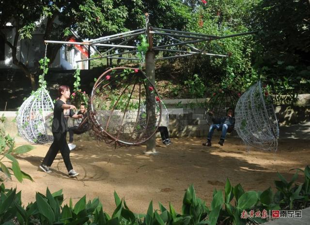 江南区沙井街道金鸡村：蔬菜种植 脱贫致富的“绿色银行”