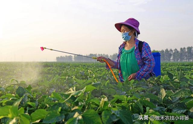 田间打药防治害虫效果差？试一下这3种杀虫剂，复配杀虫效果更佳