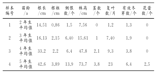 牡丹江地区芍药种子繁育及幼苗管理技术