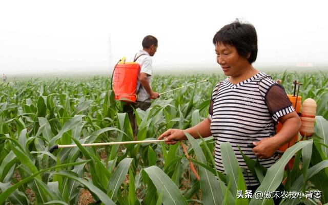 田间打药防治害虫效果差？试一下这3种杀虫剂，复配杀虫效果更佳