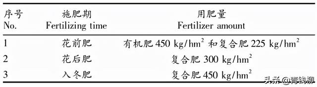 基金项目 粤北山区油用牡丹的栽培技术研究