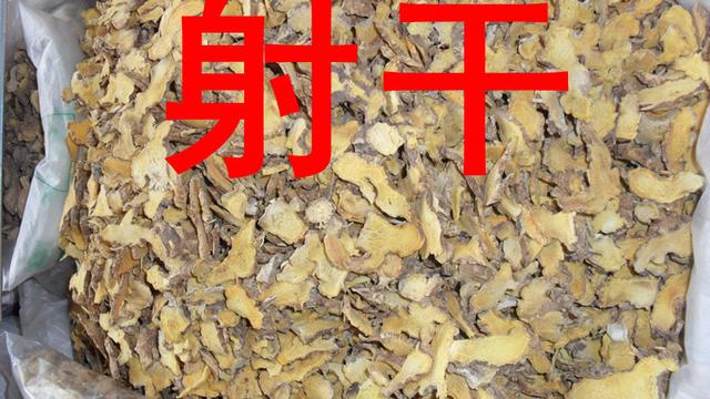 射干别名乌扇，生于林缘或山坡草地，花橙红色，散生紫褐色的斑点