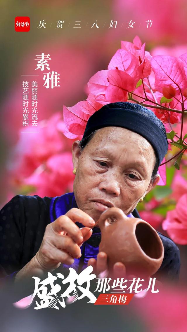 又美又飒！这些“海南花儿”正盛放