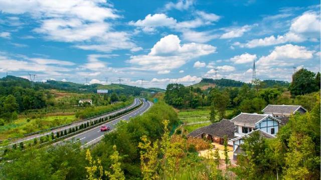 重庆这些地方的蓝莓熟了，还能顺便邂逅花海、住树屋