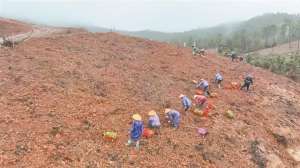 某中药种植基地有两处(东兴：中药材种植配出致富“千金方”)