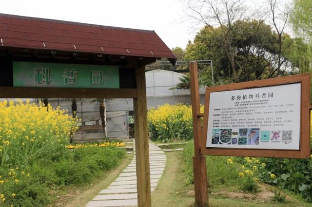 原来闵行体量最大的“多肉”种植大棚在这儿，还不快去……