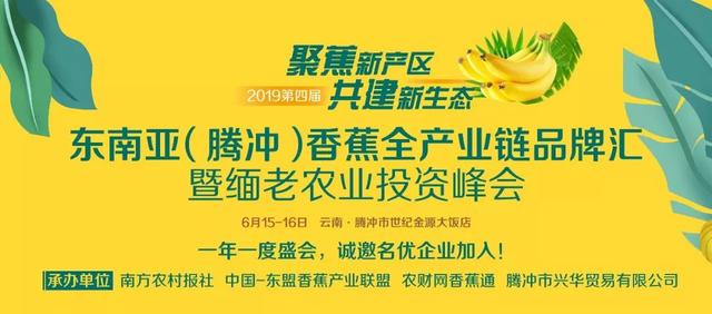 市场份额超过7亿元，95%以上肥料产品中国进口，缅甸香蕉市场大有可为！