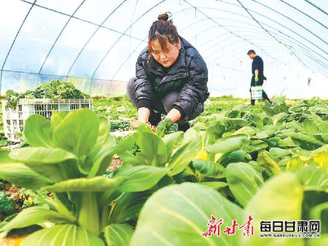 春回大地万物苏 春耕备耕正当时