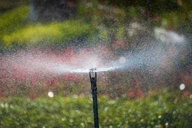 刘帮银：水稻直播技术，实现水稻栽培全过程的“轻简化”