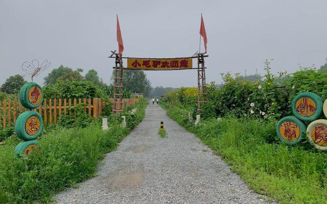 京郊租地种菜蔚然成风 专家称后续市场空间存疑