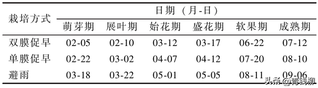 基金项目：阳光玫瑰葡萄双天膜促早标准化栽培技术