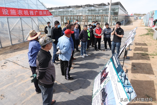 如何搞好乡村农业采摘大棚的种植设计、空间布局以及创意装饰