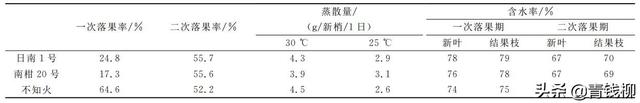 “不知火”柑橘生理生态特性及栽培探讨