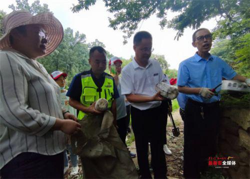 泰山赤灵芝菌包首次大规模“反哺”泰山