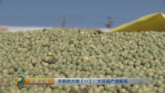 大豆里的“新商机”：改种新品种大豆 农户百亩地多赚数万块