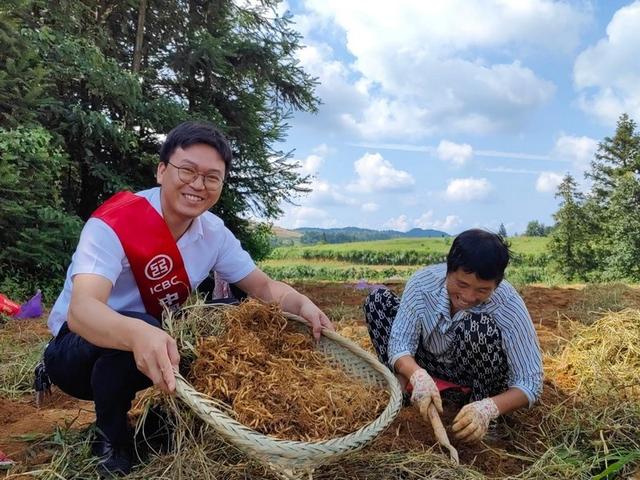 工行凯里分行：“种植e贷”为58户太子参种植户送去新希望