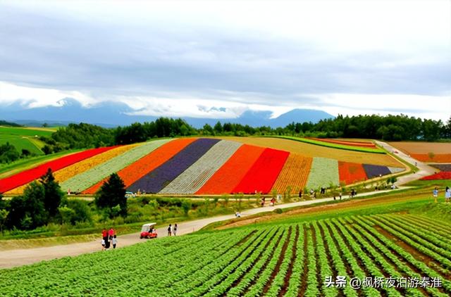 世界农业科技三大派系——日本农业，哪个更适合学习借鉴（3）