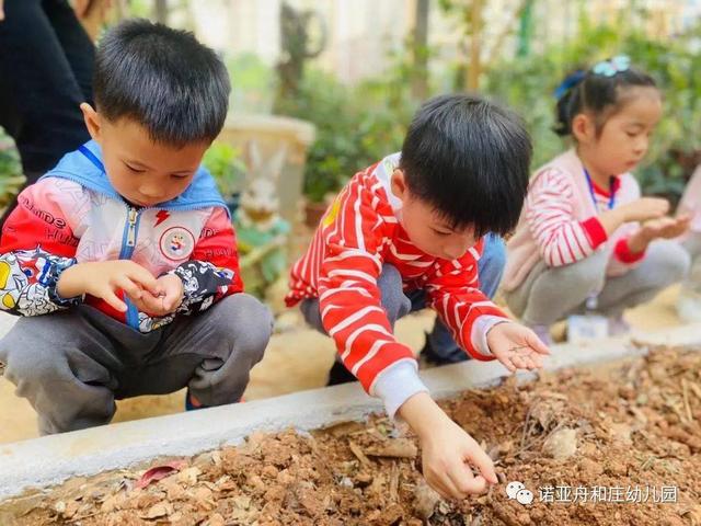 秋风起，秋种起——诺亚舟和庄幼儿园秋季种植活动之播种篇