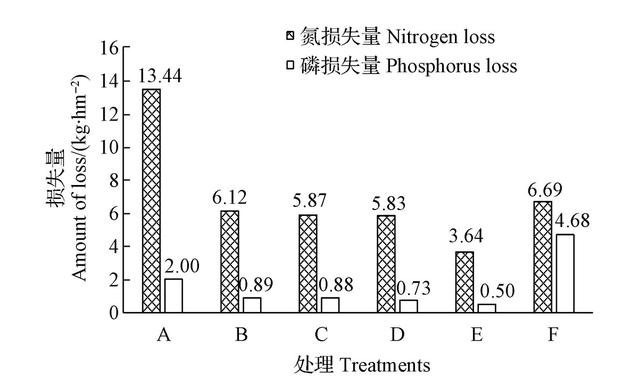 现代种植研究：不同施肥方式对甘蓝种植的影响及综合效益评价