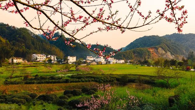 四本超级好看的种田流小说，本本巅峰，是你书荒的不二之选