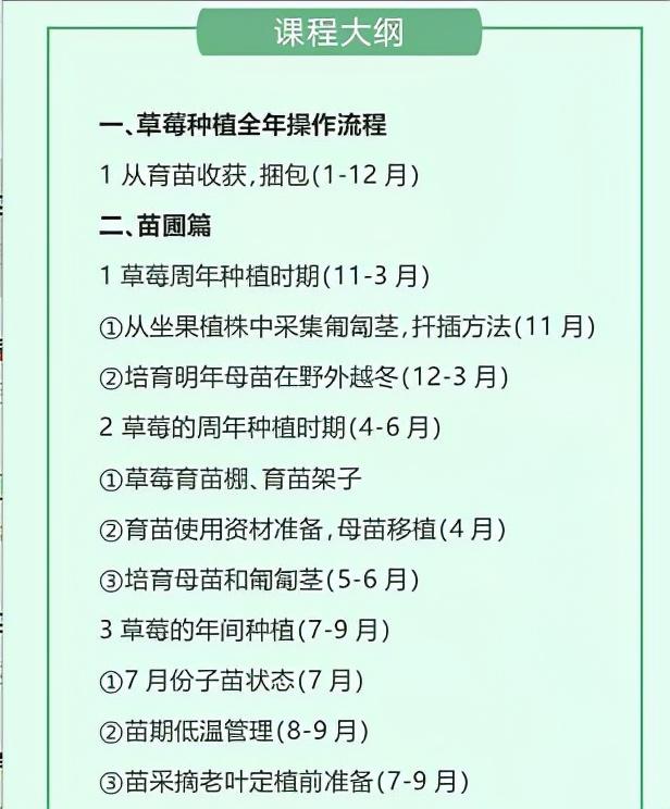 日本草莓为什么做得成功？这份课程值得草莓产业者学习