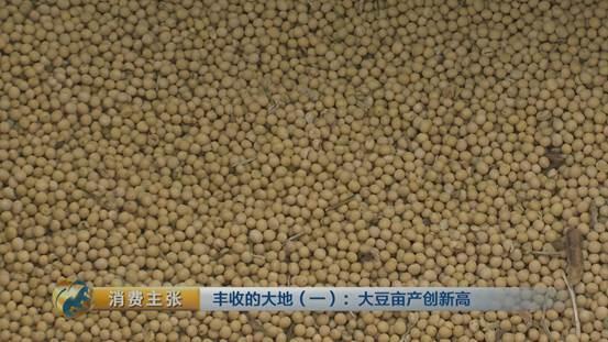 大豆里的“新商机”：改种新品种大豆 农户百亩地多赚数万块