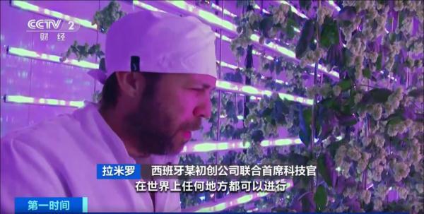 全球变暖威胁啤酒花种植 西班牙企业尝试水培啤酒花增加供应