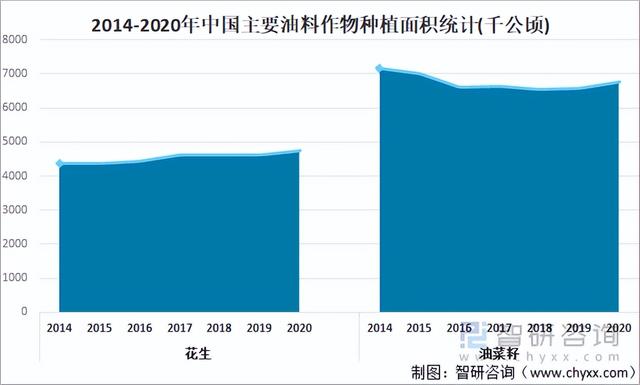 2021年中国油料种植及生产情况：产量达3613万吨，同比增长0.78%