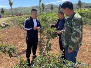 新乡香菇种植基地电话(韩庄村来了小孙书记，村民们走上幸福小康路)