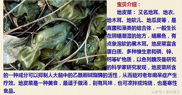 野菜长的像珍珠，无法种植全靠捡，每公斤上千元