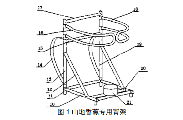 香蕉高产栽培技术，及无伤采收轻简化技巧，保障香蕉的品质