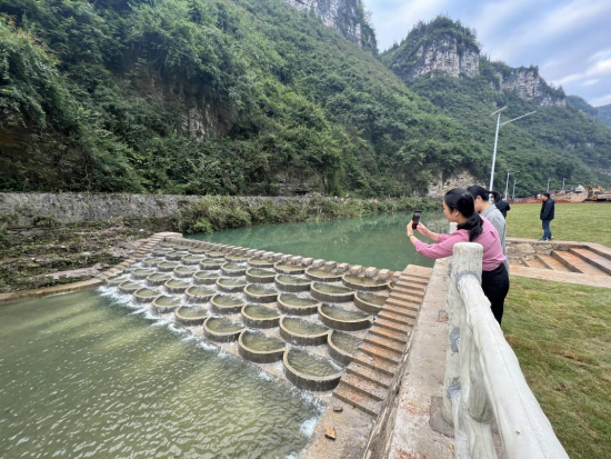 怀化新晃：中药材致富 黄精地里出“黄金”