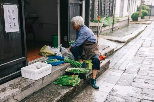 在江尾海头第一镇太仓，钓龙虾摘西瓜，寻找乡村里童年的暑假时光