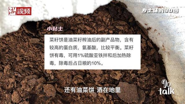 安吉“茶二代”有个“小目标”：把白茶种好 帮千里外的乡亲致富