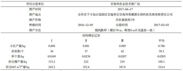 高寒阴湿区羊肚菌日光温室种植技术要点